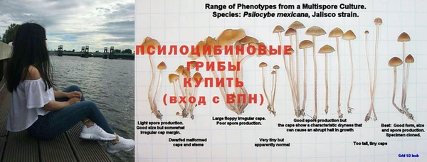 MDMA Premium VHQ Краснослободск